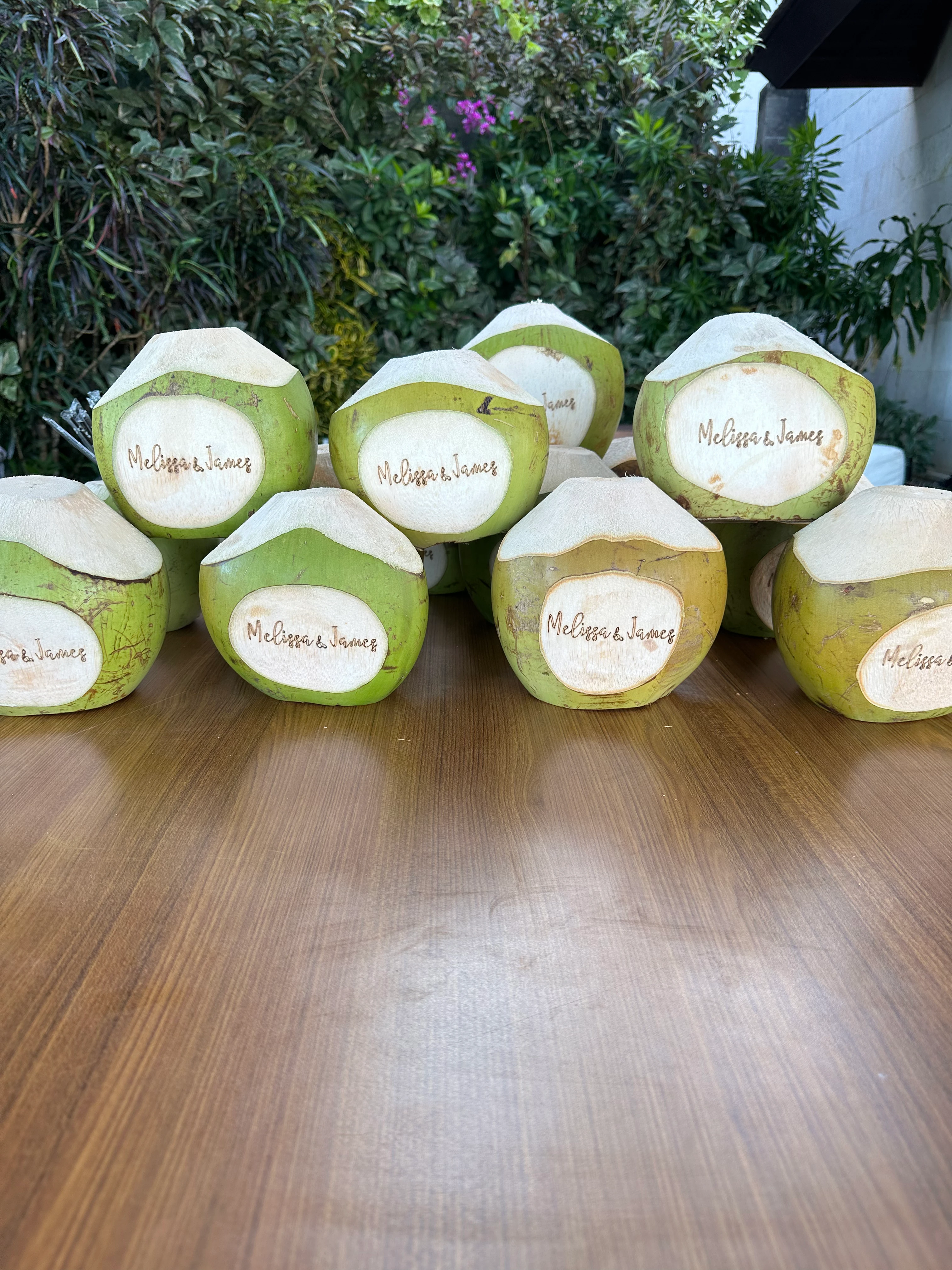 Bali Coconut Art